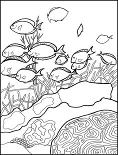 Coral Reef Coloring Book Page Sketch