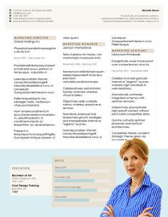 career diagram free resume template by hloom com branding