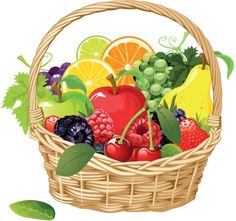 479 best fruit and