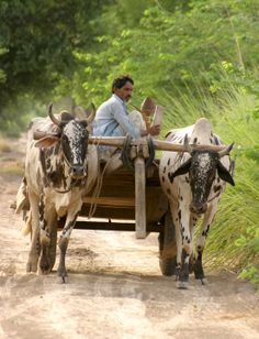 63 best rural pakistan images pakistan village photos rural development in india essay