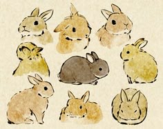 2483 best bunny art images on pinterest bunny art drawings and