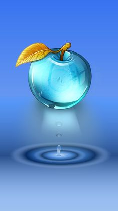 374 best bubbles water