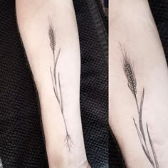 pin by ella trujillo on t a t t o o pinterest wheat tattoo