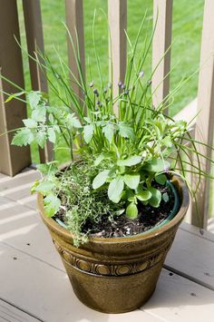 To Go" herb binations arrive planted in containers "To Go" herb binations arrive planted in containers burpeehomegardens Ve able Garden Ideas Pinterest