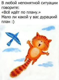 Позитивные Фото С Юмором С Надписями Прикольные Позитивные Фото С Юмором С Надписями Прикольные