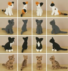 Alle Pullover mit katze zusammengefasst