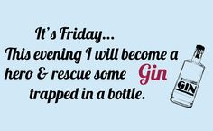 Funny Gin Gym Joke Just Renewed My Gin Membership Keyring Key Chain