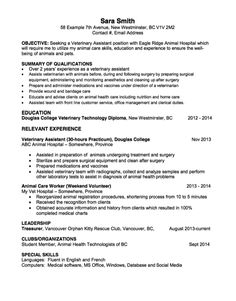 cv for care worker