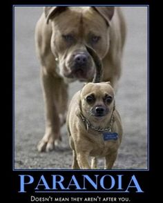 39 best paranoia images