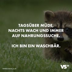 Die 3132 besten Bilder von Spaß // VISUAL STATEMENTS® in 2019 Die 3132 besten Bilder von Spaß // VISUAL STATEMENTS® in 2019