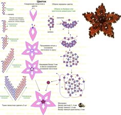 Free DIY tut - Series of flower schemas/tutes collected from Russian site. #Seed #Bead #Tutorials