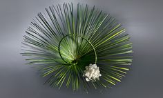 23 International Floral Inspiration ideas | floral, flower 最安値通販 INTERNATIONAL Floral PAGEONE ART アート/エンタメ