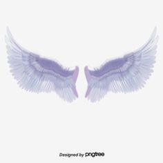 100 手描きの美しい翼の写真コレクション 無料のpngデザイン 背景の壁紙ダウンロード Ideas 100 手描きの美しい翼の写真コレクション 無料のpngデザイン 背景の壁紙ダウンロード Ideas