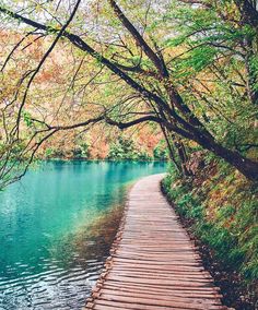 Wooden Paths Of Plitvice Lakes Ahmet Erdem Wooden Path Walk This Way Wooden Paths Of Plitvice Lakes Ahmet Erdem Wooden Path Walk This Way