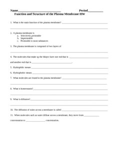 essay about a movie killer