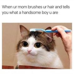 8230 best hilarious images
