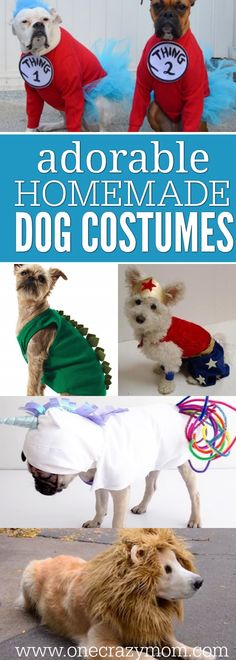 dog costumes a pinterest collection by dogvills boy dog costume check out these homemade dog costumes that are so cute 15 homemade dog costumes that