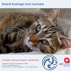Promjene temperature i tlaka najčešći su uzrok infarkta
