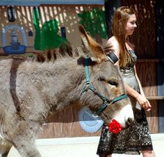 moorpark college zoo