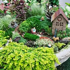 images of fairy gardens pinterest plant up wheelbarrow fairy garden 352 best fabulous gardens images in 2018 miniature gardens images of fairy gardens pinterest plant up wheelbarrow fairy garden 352 best fabulous gardens images in 2018 miniature gardens