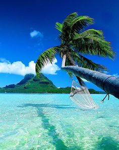 12 Best Puerto Rico Images On Pinterest Destinations Islands And Flamenco Beach Puerto Rico Hammocks Hammock Water Beautiful Places