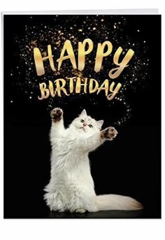 Happy Birthday With Cats, Happy Birthday Animals, Happy Birthday Images, Happy Birthday Pictures