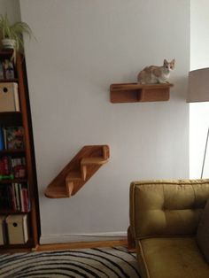 257 best cat shelves
