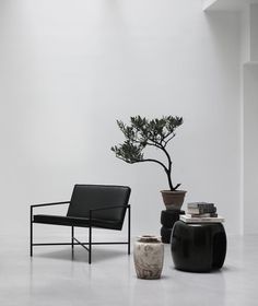 Vaalea Ebony suku puoli