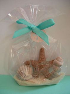 chocolate shell and starfish