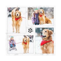 Modern Marble Dog Lover Photo Collage Canvas Print pet memorial canvas , pet memorial ideas wall art canvases, dog memorial canvas , dog canvas art ideas, pet canvas ideas, pet memorial ideas wall art, pet memorial ideas wall art portraits, pet memorial ideas wall art canvases, dog memorial wall ideas, dog memorial wall decor, Pet Loss Gift Ideas, Pet Memorial Photo Frame - Dog Memorial Ideas Dogs, Pet Sympathy Gifts Dogs, Pet Memorial Gifts, Dog Memorial, Memorial Ideas, Lovers Photos, Dog Photos, Photo Collage Canvas, Canvas Art, Pet Dogs, Pets