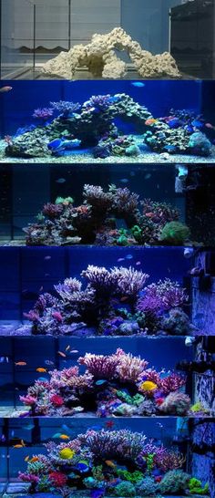 9 best keren images