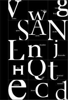 11 best typeface anatomy