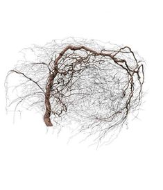 Branches in The Fall Trees Stem Twig with Last Few Leaves Minimalistic Design Art Pale Grey Brown Lunarable Leaf Place Mats Set of 4 Washable Fabric Placemats for Dining Room Kitchen Table Decor