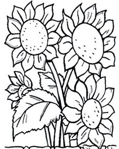 Flower+Coloring+Pages | 1001 COLORINGPAGES : Plants >> Flowers ... Flower+Coloring+Pages | 1001 COLORINGPAGES : Plants >> Flowers ...