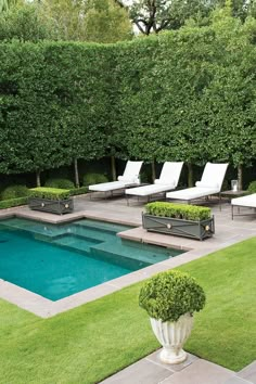 Backyard Garden, Small Patio, Lap Pools