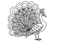 free printable peacock coloring pages for kids peacocks