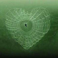 135 best natural hearts