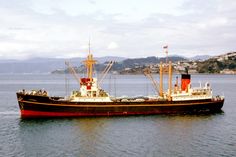 party boat wellington harbour mv waitaki wellington harbour atragon pinterest party boat wellington harbour mv waitaki wellington harbour atragon pinterest