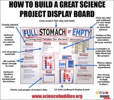 science projects layout