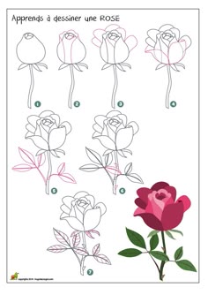 I Like This Technique Starting With The Bud In The Middle Adding Rows Of Pedals As You Move Out For A Rose In Full Bloom Erasing Lines As You Go I Like This Technique Starting With The Bud In The Middle Adding Rows Of Pedals As You Move Out For A Rose In Full Bloom Erasing Lines As You Go