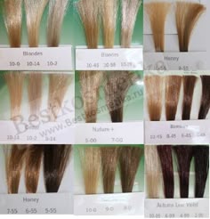 schwarzkopf essensity color chart hair color color essensity schwarzkopf color chart