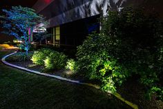 led outdoor landscape lighting bushes trees commercial building jpg