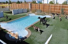75 Home Sweet Home Ideas Doggy Diy Dog Stuff Pets