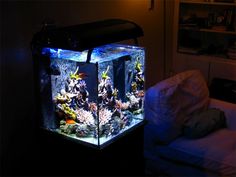 86 best aquarium furniture