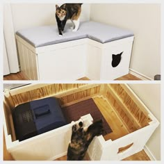 Built a more appealing piece to hide my cat's litter box. She's very interested in it. What do you guys think? : somethingimade Litter Box Enclosure, Hidden Litter Boxes, Hidden Litter Boxes Diy, Cat Litter Box, Litter Box, Cat Litter