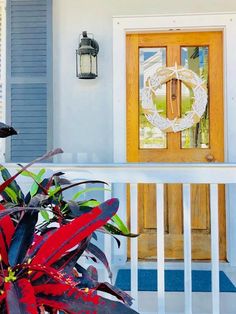 15 best south florida