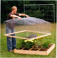 8 Best Raised Bed Fencing Images Raised Garden Beds Garden