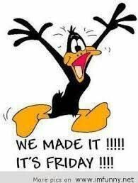 Image result for Donald Duck we made it