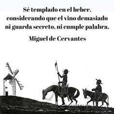 Resultado de imagen de imagenes de don quijote con frases