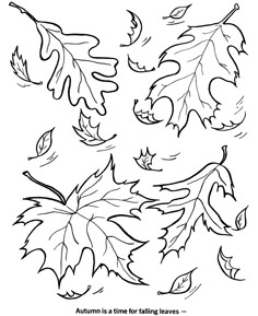 Autumn Leaves Coloring Page | Pinterest | Fall preschool, Worksheets ... Autumn Leaves Coloring Page | Pinterest | Fall preschool, Worksheets ...